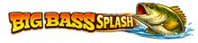 Big Bass Splash (Reel Kingdom)